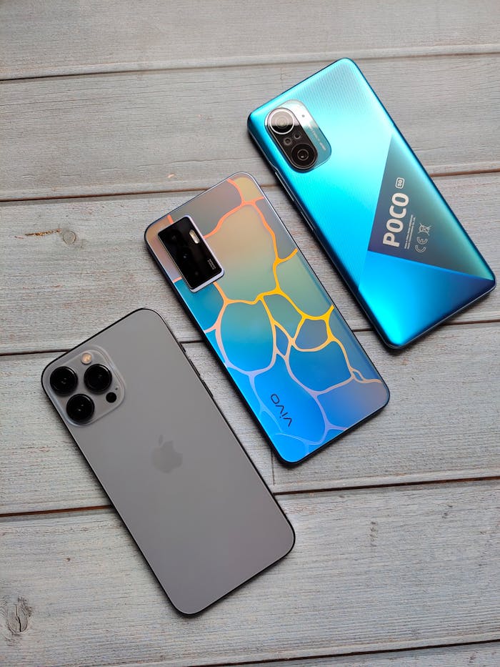 Pexels Photo 11376175