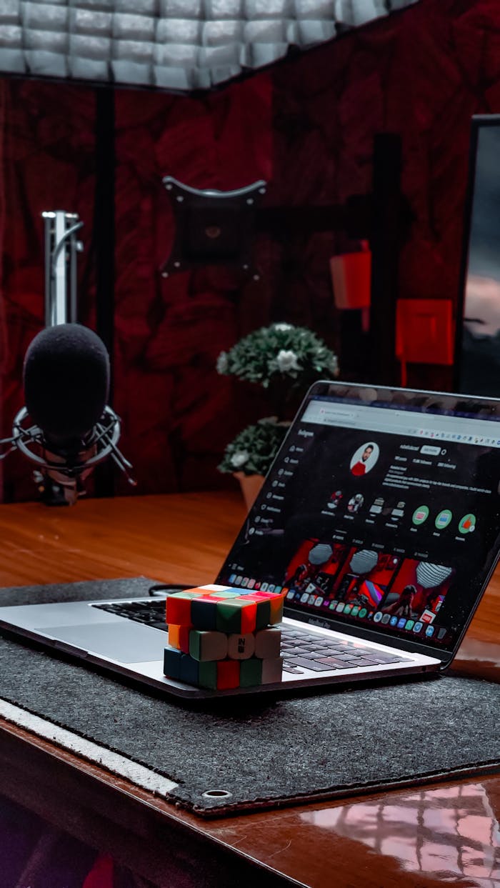 Pexels Photo 15846497