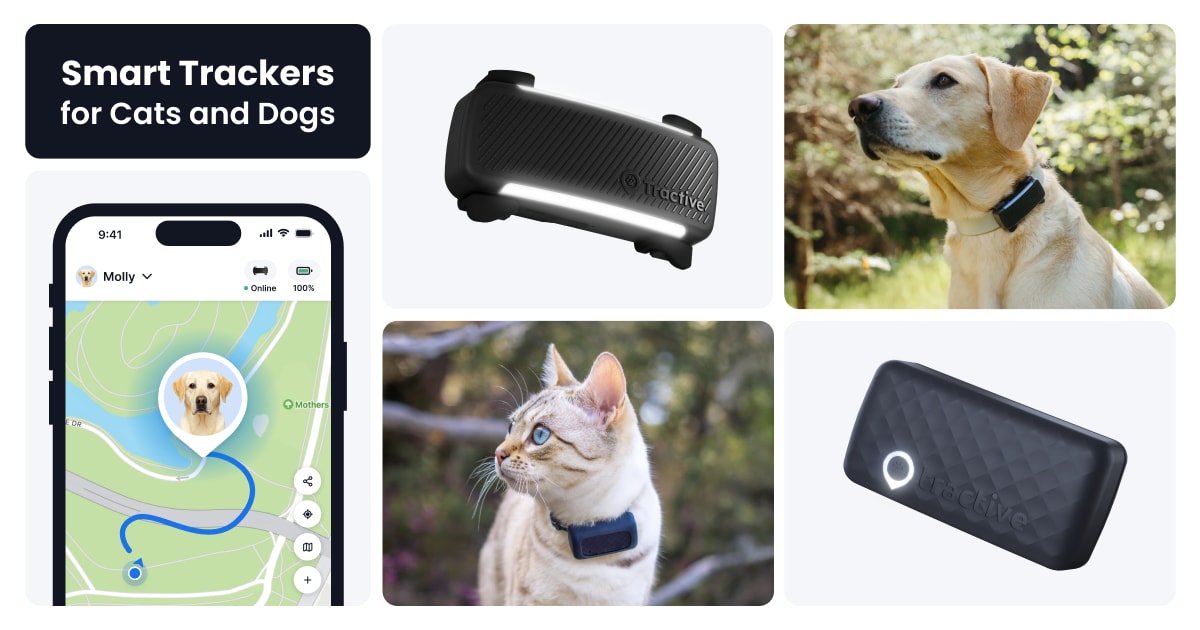 Ultimate 2026 Smart Pet Tracker Teardown: GPS, Biometrics & Battery Analytics Tractive GPS Tracker for Dogs & Cats (2025 Revision)
