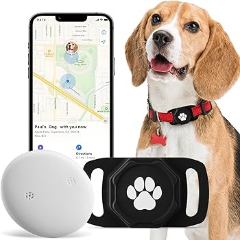 Ultimate 2026 Smart Pet Tracker Teardown: GPS, Biometrics & Battery Analytics Wagr Smart Pet Tracker with GPS and Activity Monitoring
