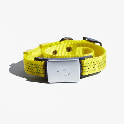 Ultimate 2026 Smart Pet Tracker Teardown: GPS, Biometrics & Battery Analytics Whistle GPS+ Health Smart Collar (2025 Model)